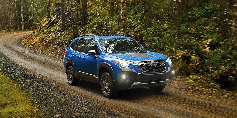 A blue Subaru Forester Wilderness SUV driving on a dirt road through a forest.