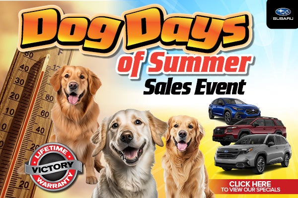Dog Days of Summer