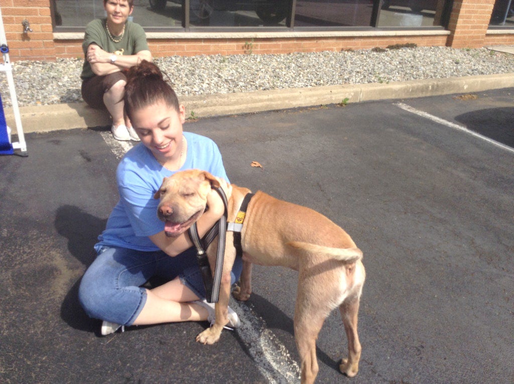 A woman sitting on asphalt cuddles a tan pit bull mix with a harness, another woman sits in the background.