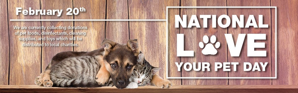 National Love Your Pet Day, February 20th, features a puppy and kitten, and a call for pet supply donations.