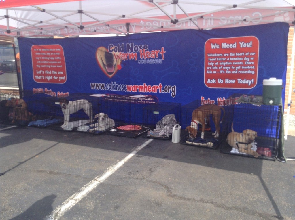 Dogs in crates under a tent with a Cold Nose Warm Heart Dog Rescue banner.