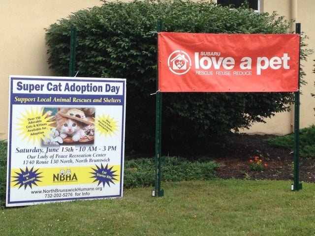 A Super Cat Adoption Day sign and a red Subaru love a pet banner on a lawn in front of bushes.