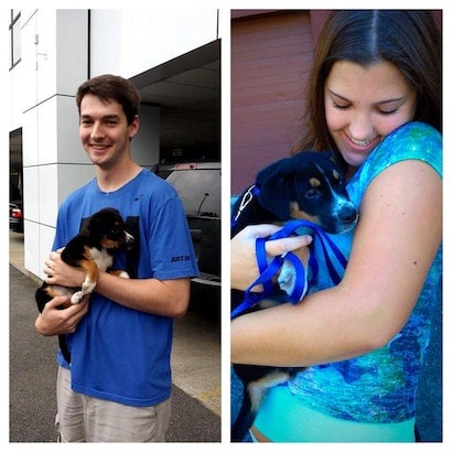 Two images comparing the growth of a black, brown, and white puppy. A man holds it as a puppy, and a woman holds it later.